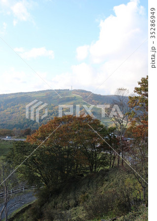 横根高原の紅葉 横根高原の紅葉 35286949