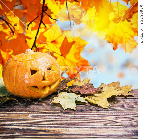 Jack lantern for Halloween made out of pumpkins Jack lantern for Halloween made out of pumpkins 35286950