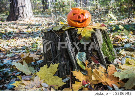 Jack Lantern for Halloween on a stump 35286992