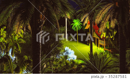 Tropical night in summer resort 3d rendering 35287581