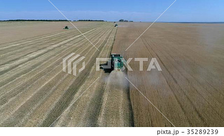 Harvesting the wheat field with agricultural Harvesting the wheat field with agricultural 35289239