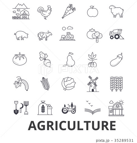 Agriculture, farmer, field, farming, tractor 35289531