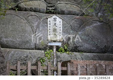 千葉県鋸山 35289828