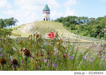 ぽんぽこ山 峰浜村 八峰町 ぽんぽこ山 峰浜村 八峰町 35289844