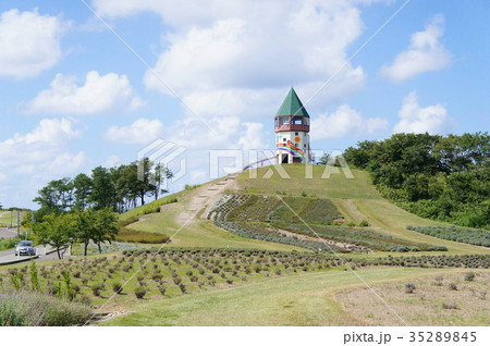 道の駅 ぽんぽこ山 道の駅 ぽんぽこ山 35289845