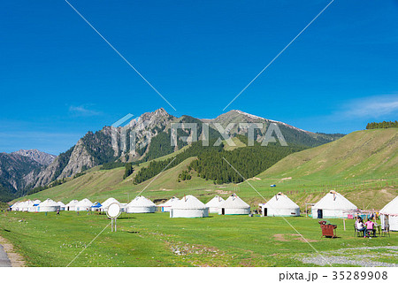 南山牧場　中国・新疆ウイグル自治区ウルムチ 35289908
