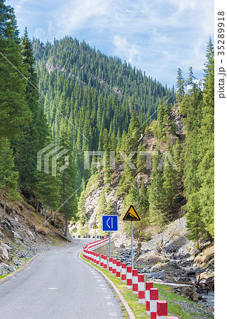 南山牧場　中国・新疆ウイグル自治区ウルムチ 35289918