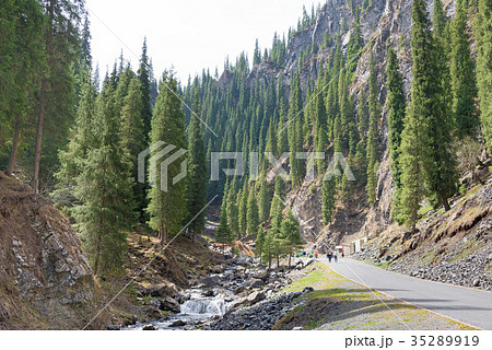 南山牧場　中国・新疆ウイグル自治区ウルムチ 35289919