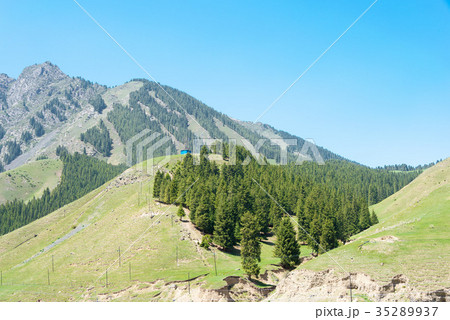 南山牧場　中国・新疆ウイグル自治区ウルムチ 35289937