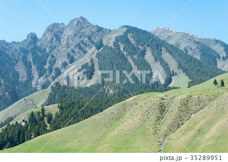 南山牧場 中国・新疆ウイグル自治区ウルムチ 南山牧場 中国・新疆ウイグル自治区ウルムチ 35289951