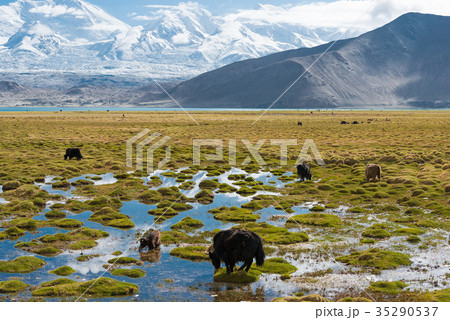 カラクリ湖 中国・新疆ウイグル自治区クズルス・キルギス自治州 カラクリ湖 中国・新疆ウイグル自治区クズルス・キルギス自治州 35290537