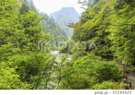 黒部峡谷 35293425