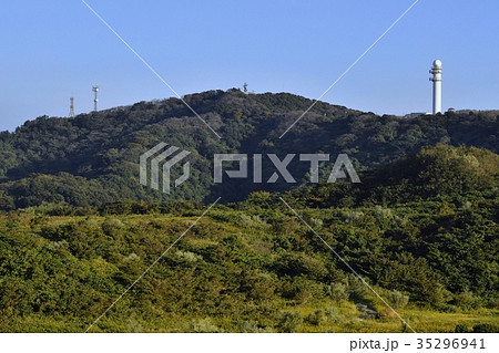 めぐりの森と秋の大楠山 35296941