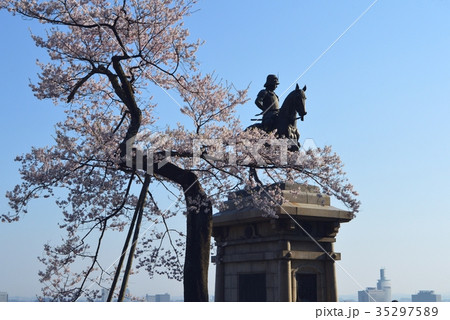 青葉城址の桜と伊達政宗騎馬像の写真素材