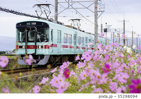 コスモスと西鉄7050形ワンマン列車の写真素材 [35298094] - PIXTA