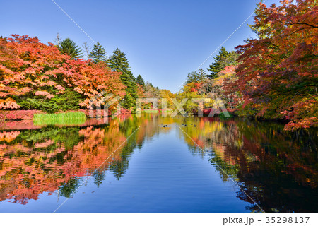 雲場池の紅葉 湖面に映り込む秋 雲場池の紅葉 湖面に映り込む秋 35298137