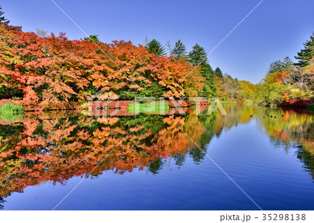 雲場池の紅葉 湖面に映り込む秋 雲場池の紅葉 湖面に映り込む秋 35298138