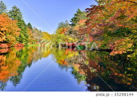 雲場池の紅葉　湖面に映り込む秋 35298144