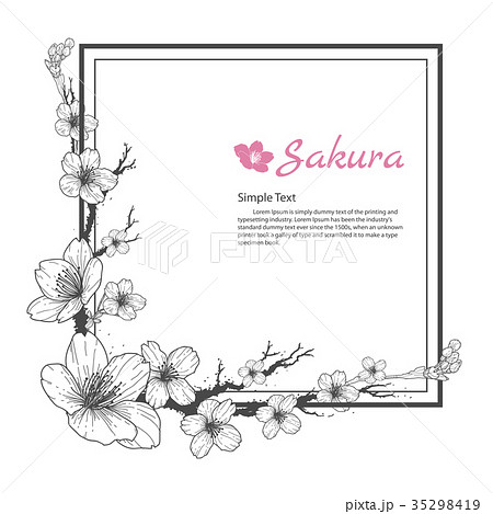 Flower frame of Sakura. Flower frame of Sakura. 35298419