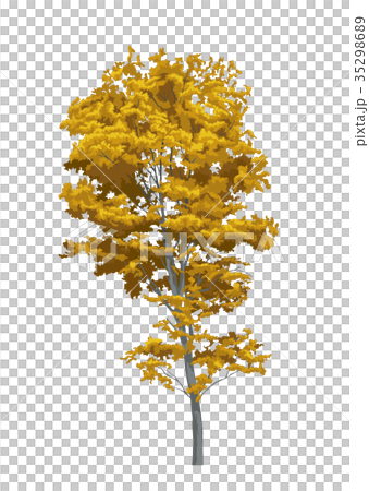 Autumn leaves 3 35298689