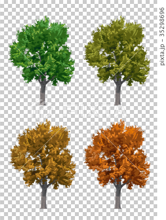 List of Konara autumn leaves 35298696