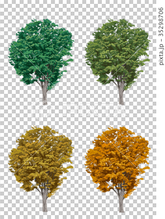 ケヤキ紅葉一覧のイラスト素材 ケヤキ紅葉一覧のイラスト素材