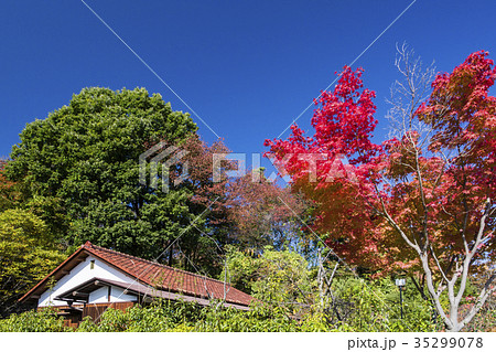 紅葉の横溝正史館 紅葉の横溝正史館 35299078