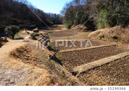 冬の谷戸風景 冬の谷戸風景 35299366