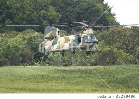 入間基地の芝生エリアでホバリング中の航空自衛隊CH-47Jチヌーク輸送ヘリコプター 35299490