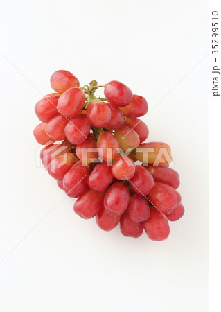 ルーベルマスカット ルーベルマスカット 35299510