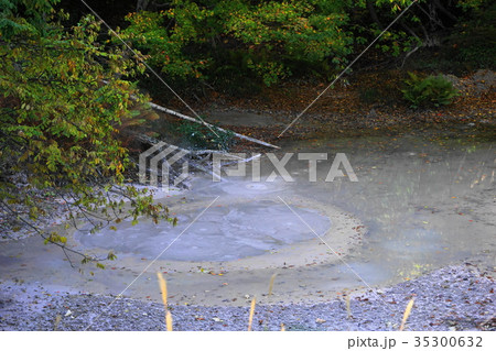 9月 阿寒湖08ボッケ・泥火山 9月 阿寒湖08ボッケ・泥火山 35300632