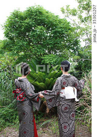 大島紬散歩 35301207