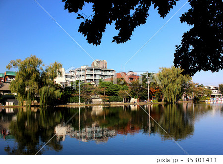 穏やかな午後の石神井池 穏やかな午後の石神井池 35301411