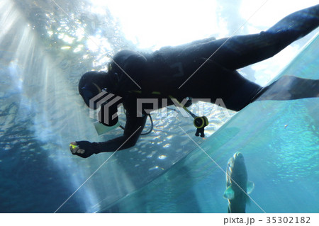 沖縄美ら海水族館 35302182