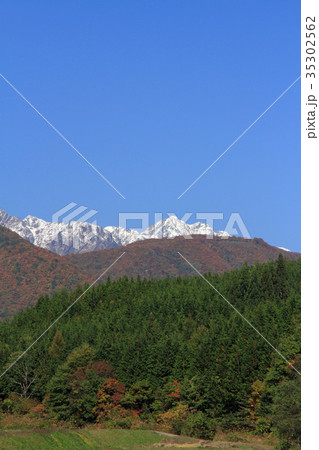 北アルプス山麓の秋 三段染の紅葉 北アルプス山麓の秋 三段染の紅葉 35302562