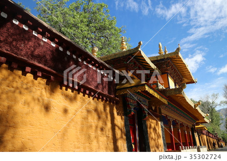 チベット 西蔵 ペテルゴフ 35302724