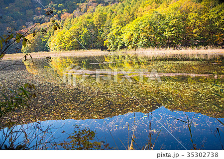 大峰沼　秋色の朝焼け　みなかみ町月夜野　 35302738