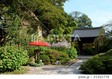 海蔵寺(鎌倉) 海蔵寺(鎌倉) 35302776