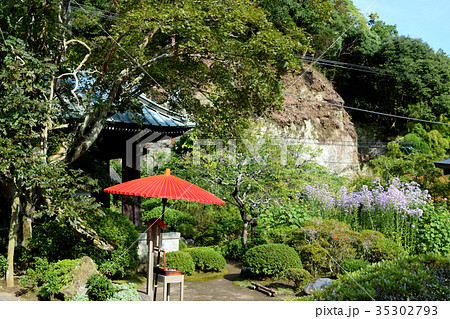 海蔵寺(鎌倉) 海蔵寺(鎌倉) 35302793