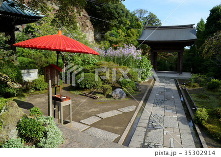 海蔵寺(鎌倉) 海蔵寺(鎌倉) 35302914