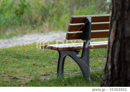 Wooden bench, view of the lake and the grasses 35303932
