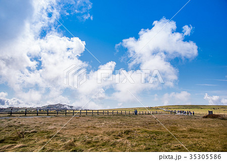美ヶ原高原の朝　高原の遊歩道を歩く 35305586
