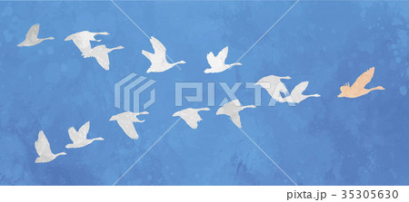 Flock of birds Leadership concept 35305630