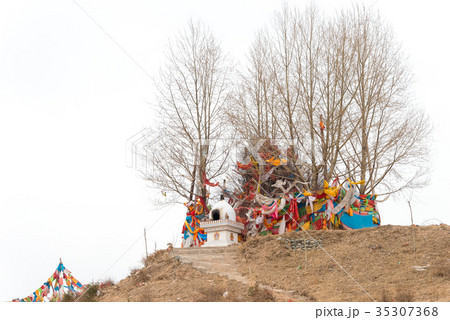 タクツェル（ダライ・ラマ１４世の故郷） 中国・青海省海東市 35307368