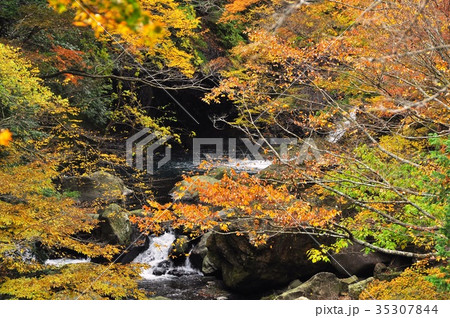 早川 堂ヶ島 渓谷遊歩道の紅葉の写真素材