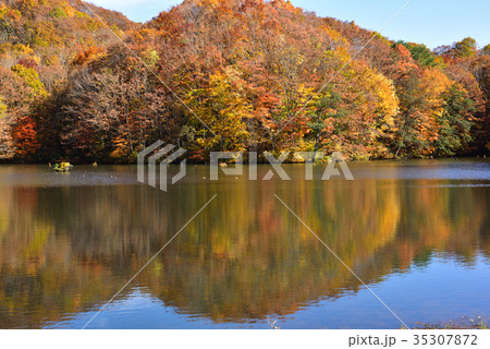 裏磐梯の紅葉 裏磐梯の紅葉 35307872