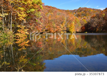 裏磐梯の紅葉 裏磐梯の紅葉 35307873