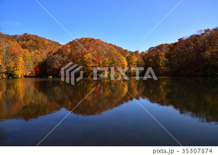裏磐梯の紅葉 裏磐梯の紅葉 35307874