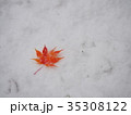 真っ赤なモミジの葉と初雪 35308122