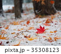 真っ赤なモミジの葉と初雪 35308123